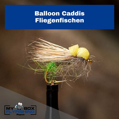 Balloon Caddis Fliege, Forelle Sommer
