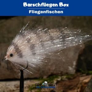 Barschfliegen Box