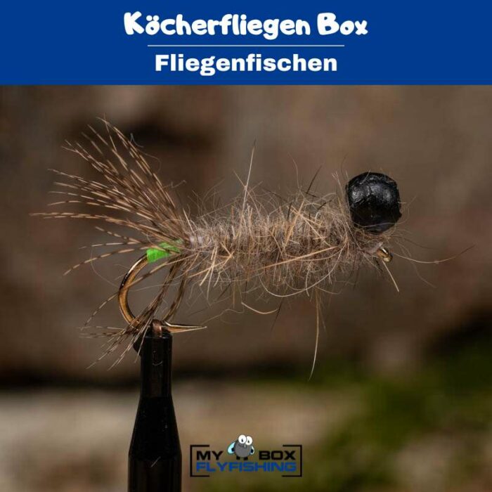 Köcherfliegen Box – Bild 3