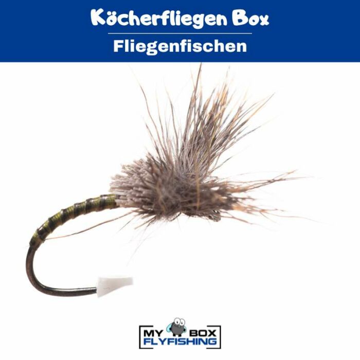Köcherfliegen Box – Bild 2