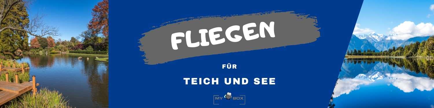 Fliegen Teich, See Frühling