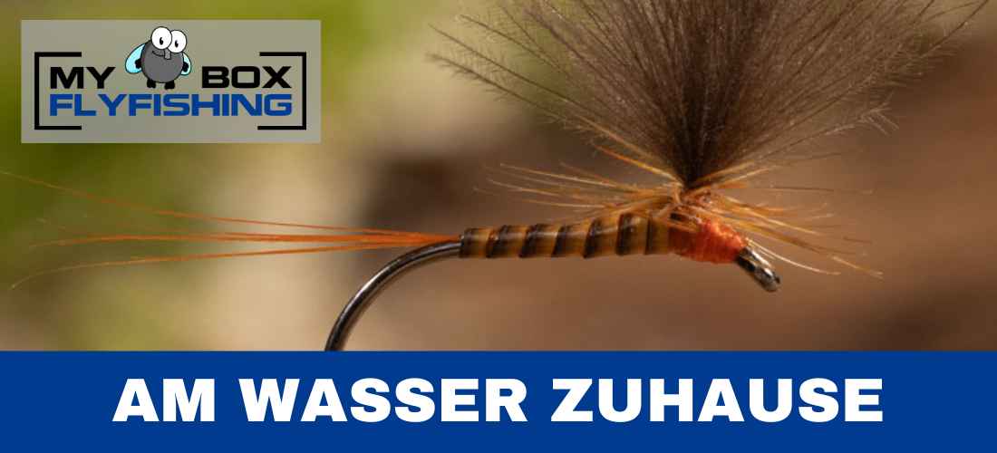 Fliegenboxen und Fliegen