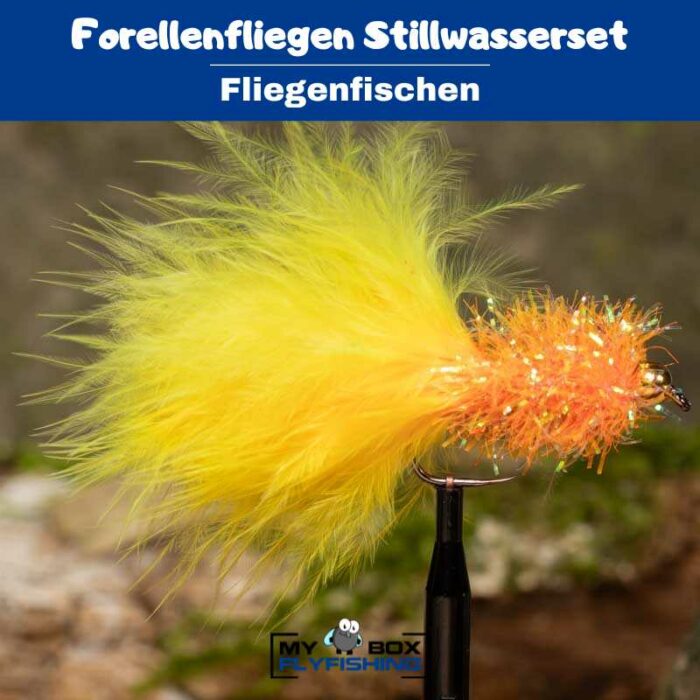 Forellenfliegen Stillwasserset – Bild 2