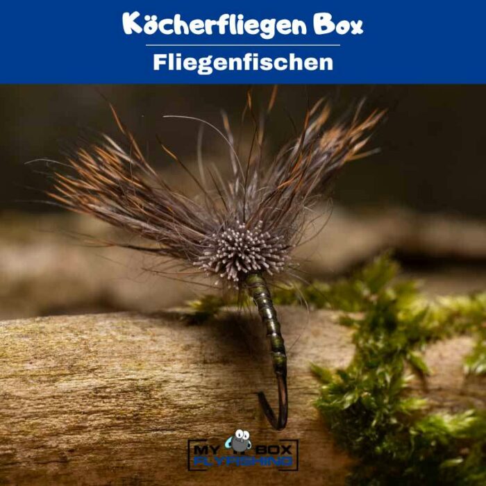 Köcherfliegen Box