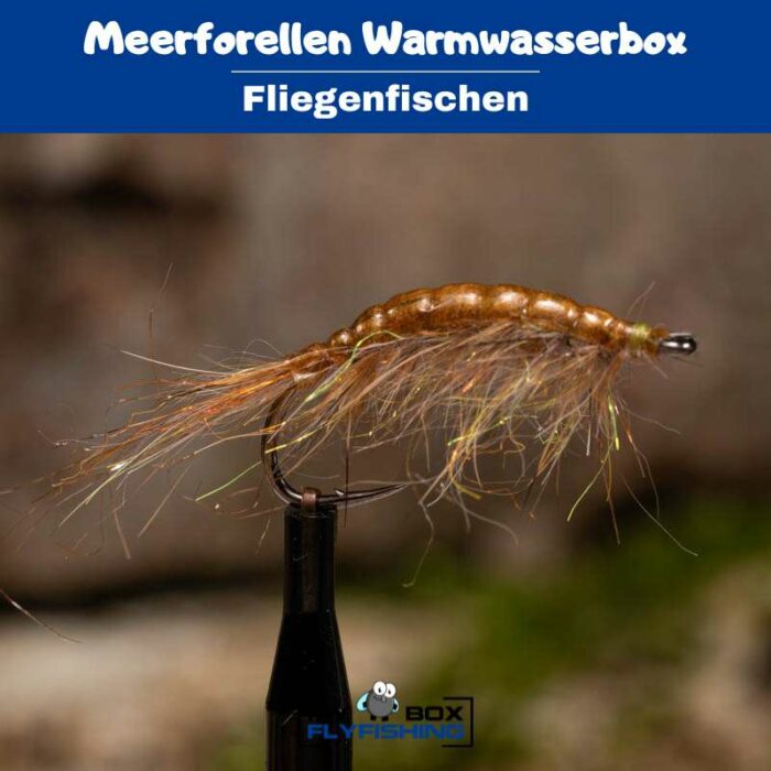 Meerforellenfliegen Warmwasserbox – Bild 2