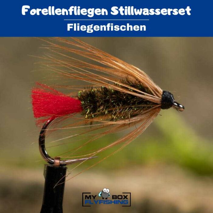 Forellenfliegen Stillwasserset – Bild 3