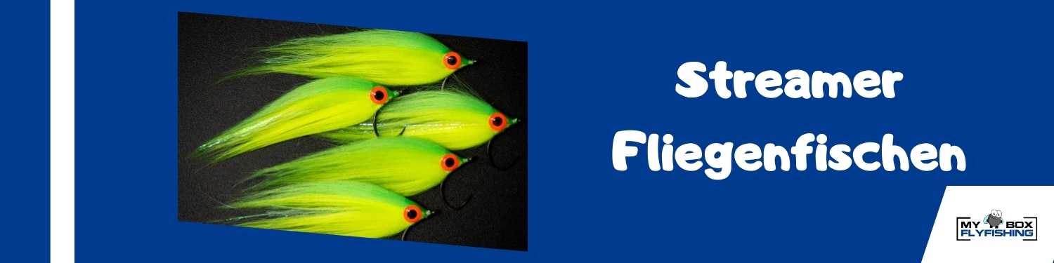 Streamer Fliegenfischen