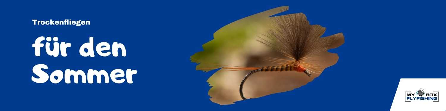Trockenfliegen für den Sommer