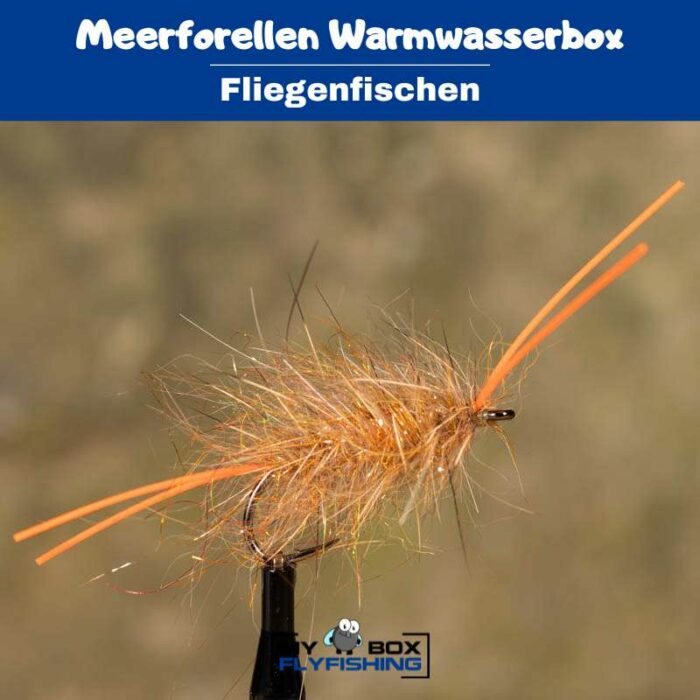 Meerforellenfliegen Warmwasserbox